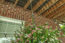 The Easiest Way to Hang Plants, Swings & Lights Under Your Deck (No Tools Required)